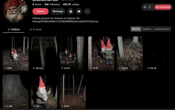 A TikTok profile for "Gnomes on Sol" displays 10k followers, 495.7K likes, and video view counts ranging from 4851 to 2.3M views, supporting the post's claim of rapid follower growth and strong engagement on videos about the $gnomes token.
