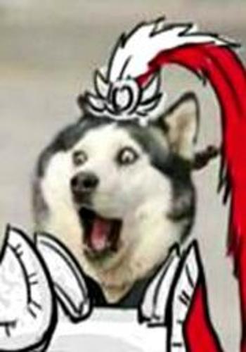 A husky dog with a wide-eyed, excited expression edited with an anime-style knight helmet and red plume.