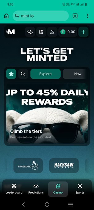 A screenshot of the mobile website mint.io displaying 'LET'S GET MINTED' and a promotional banner offering 'JP TO 45% DAILY REWARDS' featuring a white dog wearing sunglasses.
