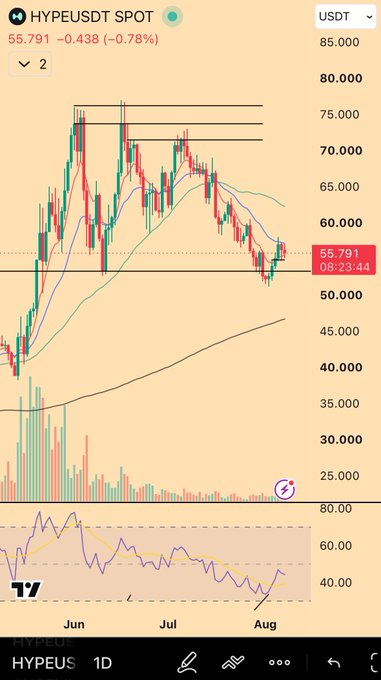 The image is a daily candlestick chart of HYPE/USDT showing the price around 55.79 USDT, down 0.78% (-0.438), with a notable downtrend forming after a high near 75, reinforcing the trader's decision to exit their long position as it conflicts with their broader market view. Key visible data includes support/resistance levels around 75 and 50, and an RSI in lower territory, aligning with a bearish stance.