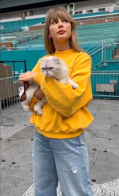 A young woman with blonde hair wearing a yellow sweater and blue jeans, holding a white grumpy-looking cat in her arms at what appears to be a stadium.