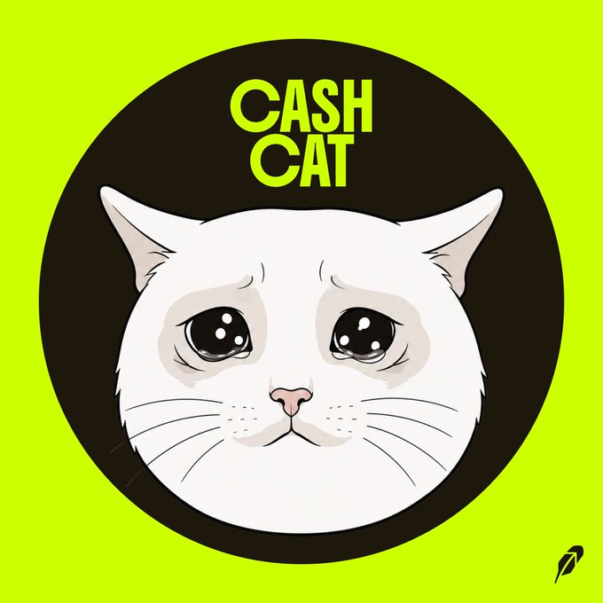 The image features a logo for "CASH CAT" ($CASHCAT), a memecoin, depicted as a sad-eyed white cat face inside a black circle on a bright lime green background. The art style and emotional appeal of the cat image leverage the popular "crying cat" meme aesthetic—similar to how other animal-themed memecoins like SHIB, BONK, and PEPE have used simple, relatable character designs to build viral community identity.