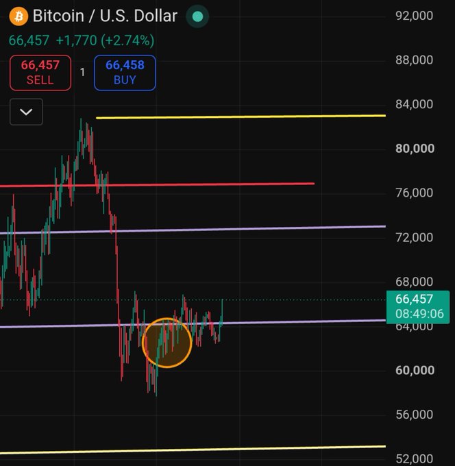 A Bitcoin/USD trading chart showing BTC at $66,457 (+2.74%), with horizontal support/resistance lines and a circled area near the $64,000 level highlighting recent price action.