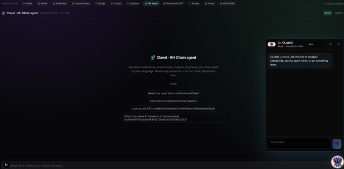 A screenshot of the Robinhood Chain 'RH Agent' page featuring CLAWD, an AI assistant for asking about blockchain transactions, balances, and chain stats.