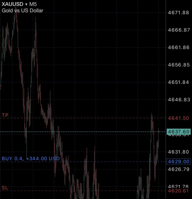 A trading chart for XAUUSD (Gold vs US Dollar) on the M5 timeframe, showing a buy position of 0.4 lots (+344.00 USD) with take profit at 4641.50 and stop loss around 4620.