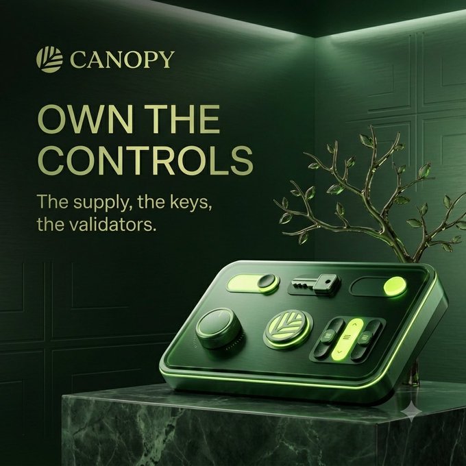 The image features a green gaming console with various buttons and knobs displayed on its surface. The console is placed on top of a marble table or pedestal, which adds an elegant touch to the scene. In front of the console, there's a tree branch that serves as a decorative element in the room. The background of the image has a green color scheme with white text and logos, including "CNPY" and "OWN THE CONTROLS". This suggests that the gaming console is part of a network or platform where users can access and use its features.