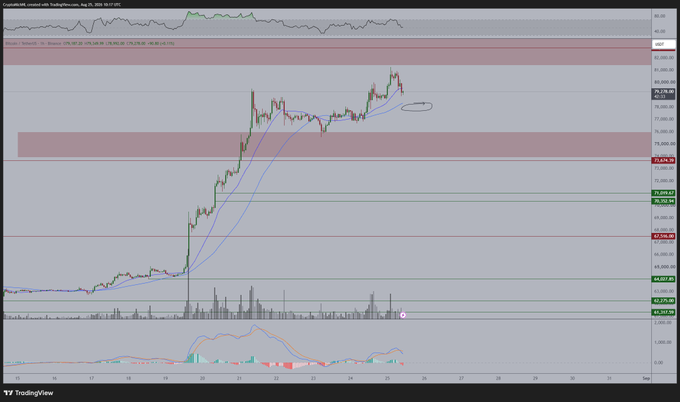 A TradingView BTC/USDT candlestick chart dated August 25, 2024, showing a strong uptrend with moving averages and an RSI indicator visible.