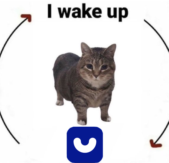 A circular meme featuring a standing gray tabby cat, with the text "I wake up" at the top and curved arrows forming a loop pointing toward a blue shopping app icon at the bottom.
