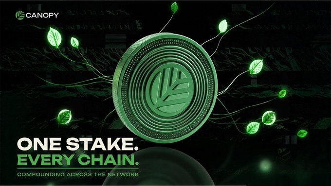 A Canopy advertisement displaying a large green coin with their logo, text reading 'ONE STAKE. EVERY CHAIN. COMPOUNDING ACROSS THE NETWORK,' surrounded by green leaves on a dark background.