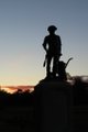 A silhouette of a person standing with a dog at sunset.