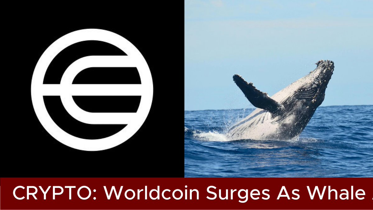 The image displays a black and white picture of a whale swimming with its tail raised, possibly leaping out of water. Below the photograph, there's an overlay text that reads "CypTO: Worldcoin Surges As Whale Activity Hits 2026 Highs". The image appears to be part of a larger conversation or discussion related to Bitcoin and cryptocurrency, specifically surrounding the rise in whale trading activity.