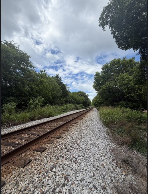 A scenic view of railroad tracks extending into the distance, flanked by green trees and bushes under a cloudy blue sky.