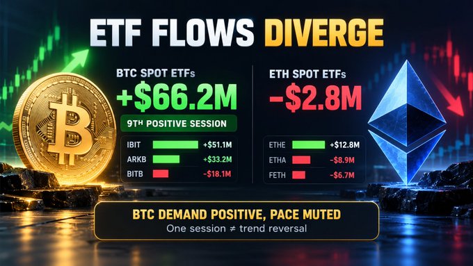 An infographic titled 'ETF FLOWS DIVERGE' showing BTC spot ETFs gained +$66.2M (9th positive session, with IBIT +$51.1M, ARKB +$33.2M, BITB -$18.1M) while ETH spot ETFs lost -$2.8M (ETHE +$12.8M, ETHA -$8.9M, FETH -$6.7M).