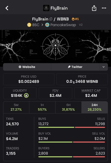 A cryptocurrency tracking page showing token 'FlyBrain' (WBNB) on BSC/PancakeSwap V2, with price $0.002489, market cap $2.4M, and 24H change of 28,230%.