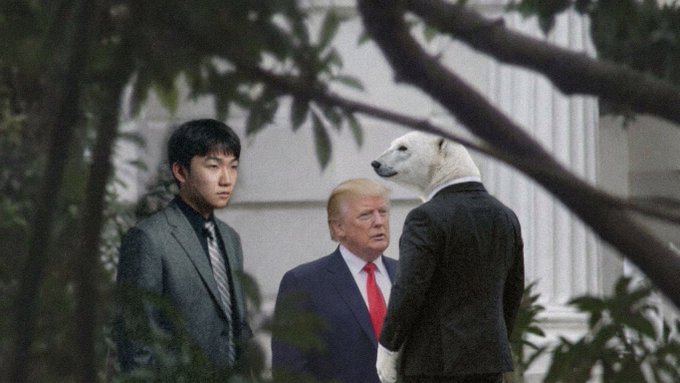 The image shows Donald Trump facing a figure in a dark suit with a polar bear head, with another man in a suit standing nearby, set against a white building with columns and framed by dark foliage. The bizarre scene appears to serve as a visual metaphor for the post, suggesting that the cryptic advice to find a "common point" among $ZEC, $ICP, and $LTC is just as surreal and nonsensical as this encounter—possibly hinting at hidden connections or a riddle about the listed cryptocurrencies.