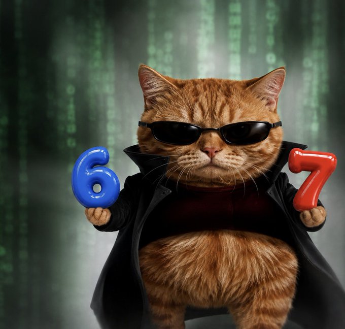 An orange tabby cat wearing black sunglasses and a black coat holds up a blue number '6' and a red number '7' against a background of falling green digital code.
