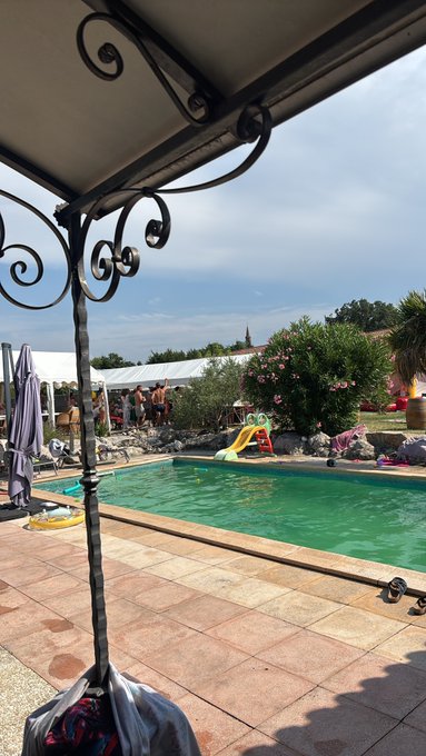 A view from under a wrought-iron canopy looking out toward a swimming pool with a yellow slide, surrounded by flowering plants and a tiled patio area on a sunny day.
