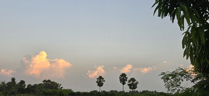 A serene landscape photograph showing a sunset sky with pink-tinged clouds above a silhouette of palm trees and tropical foliage.