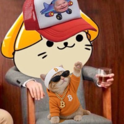 A humorous image featuring a cat wearing sunglasses and an orange Bitcoin shirt, sitting in front of a cartoon dog holding a drink, with a man's face on a rocket truck on the dog's hat.