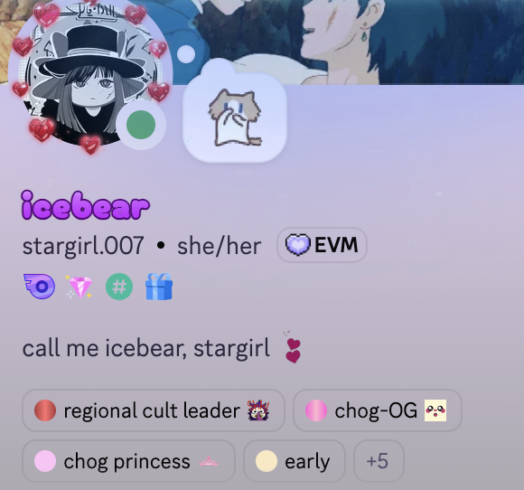 A profile screenshot of an online user named 'icebear' (username stargirl.007) with anime character avatars and badges including 'regional cult leader' and 'chog princess'.