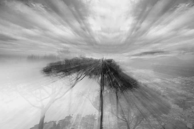 A surreal black and white image features a tree whose canopy radiates outward like beams of light across a landscape.