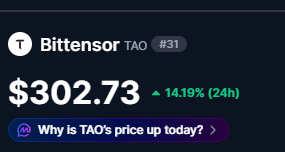 A price ticker shows Bittensor (TAO) at $302.73 with a 14.19% increase over 24 hours, with a prompt asking 'Why is TAO's price up today?'