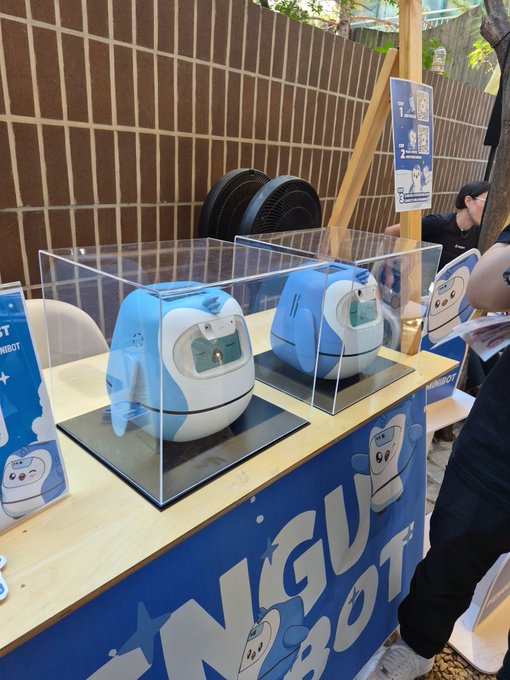 Two blue and white egg-shaped robotic devices displayed in clear acrylic cases on a wooden counter with a blue 'ANGEL ROBOT' banner, at what appears to be an outdoor tech exhibition.