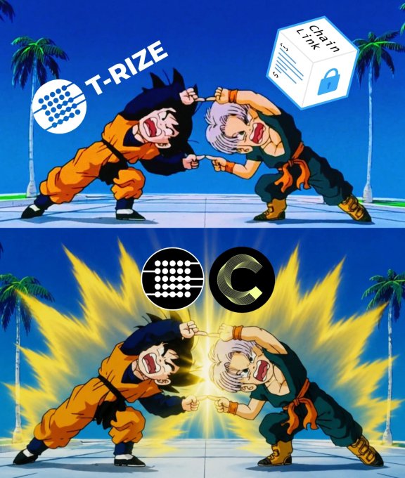 The meme features a Dragon Ball Z scene of Goku and Trunks clashing heads in a power struggle, with the T-RIZE logo paired against a "Chain Link" block in the top panel, transitioning to T-RIZE and Canton Network logos united in a bright yellow fusion aura in the bottom panel—visually representing the integration of $RIZE into the Canton Network via Chainlink.