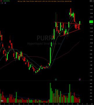 A candlestick chart of $PURR with a dramatic surge in price, accompanied by volume bars at the bottom, supporting the trader's bullish sentiment on both $PURR and $HYPEUSD.