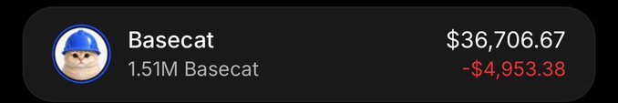 A crypto portfolio tracker widget displays 'Basecat' with a cat avatar, a balance of '1.51M Basecat' valued at '$36,706.67', showing a loss of '-$4,953.38'.