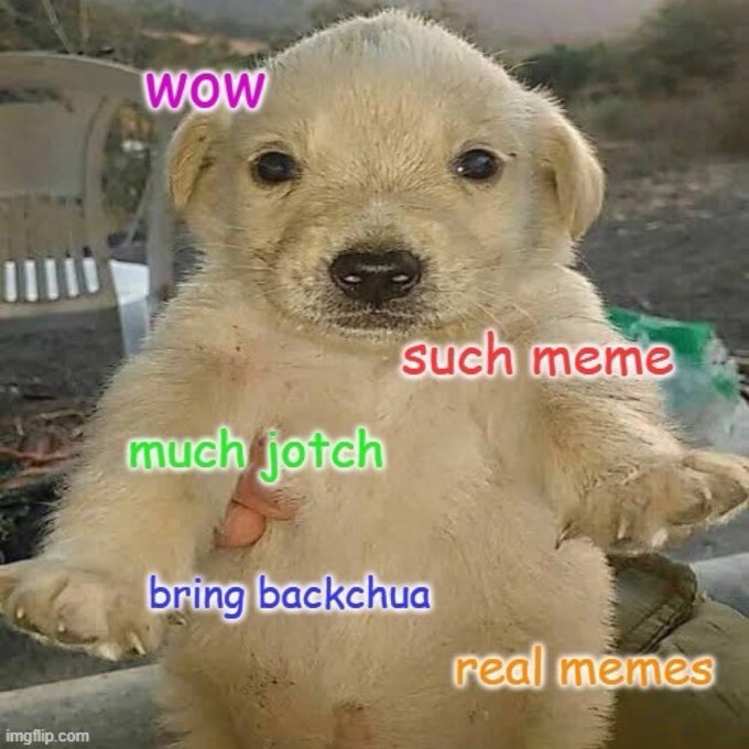 A pale puppy stands on its hind legs with overlaid meme text reading 'wow', 'such meme', 'much jotch', 'bring backchua', and 'real memes'.