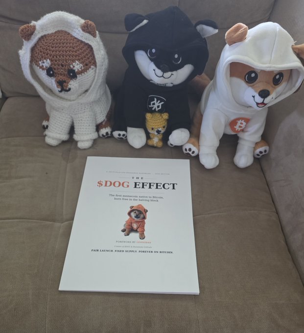 Three plush dog toys wearing different hoodies (cream knit, black, and white with a Bitcoin logo) sit on a brown couch behind the same '$DOG EFFECT' booklet.