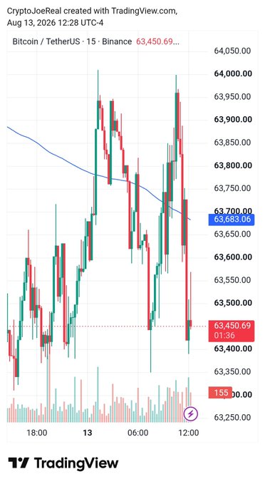 A TradingView candlestick chart for Bitcoin/TetherUS (BTC/USDT) on Binance, created by CryptoJoeReal on Aug 13, 2026, showing the current price at 63,450.69.