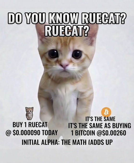 A meme featuring a kitten with text promoting 'RUECAT' crypto, comparing buying 1 RUECAT at $0.000090 to buying 1 Bitcoin at $0.00260 as initial alpha.