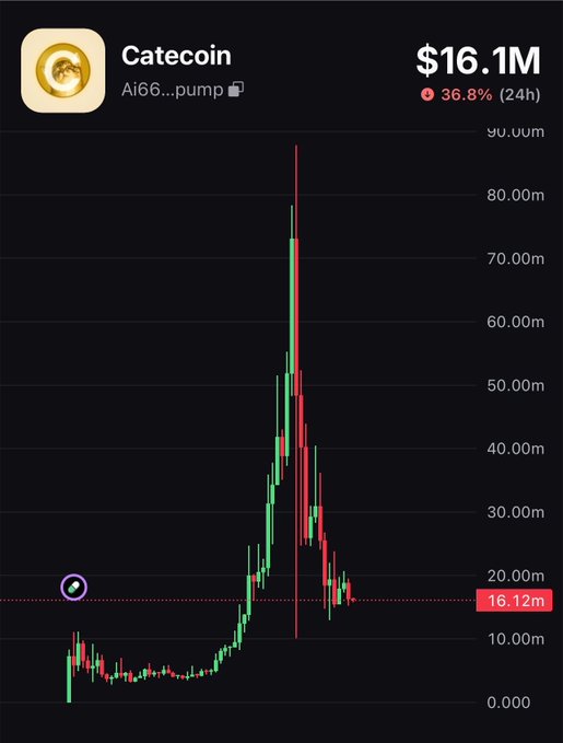 A trading chart showing Catecoin (Ai66...pump) with a market cap of $16.1M and a 36.8% drop in 24 hours, displaying a sharp price spike followed by a decline.