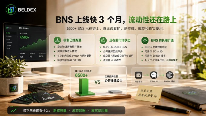 A promotional graphic for BELDEX titled 'BNS 上线快 3 个月，流动性还在路上', highlighting that over 6500 BNS domain names have been registered on-chain with approximately 5 BDX burned per registration, emphasizing long-term value and wallet association features.