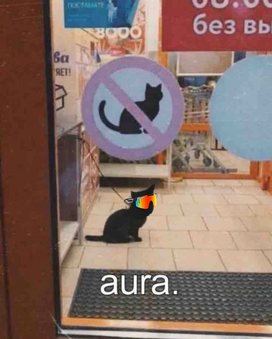 A black cat wearing sunglasses sits on a doormat beneath a 'no cats' sign on a shop window, with the caption 'aura.' meme text overlaid.
