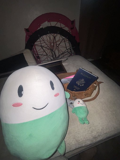 A green-and-white round plush toy with a smiling face sits on a chair next to a smaller plush, a laptop, a brown bag, a passport, and a bicycle wheel in the background.