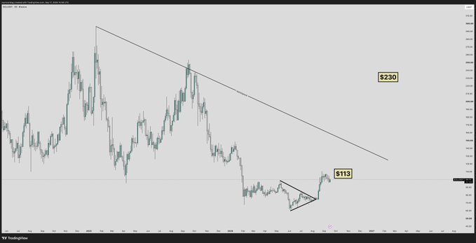 A bearish descending trendline chart for SOL with key resistance at $230 and support at $113, illustrating the post's caution that missing the under-$100 entry means likely paying $200+ before SOL revisits higher targets like $500.