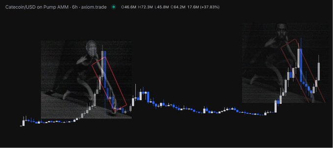 A trading chart for 'Catecoin/USD on Pump AMM' shows a +37.83% gain over 6 hours, featuring two inset images of the 'Bitch Lasagna' meme (the Joji meme) overlaid on price action peaks.