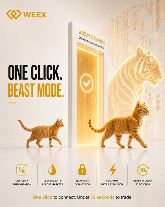 A promotional advertisement for WEEX features the tagline 'ONE CLICK. BEAST MODE.' and highlights a WEEX FAST CONNECT service with an orange cat and tiger graphic.