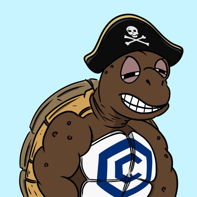 A cartoon illustration of a muscular brown turtle or tortoise character wearing a black pirate hat with a skull and crossbones, featuring a prominent toothy grin and a white tank top with a blue hexagonal logo.