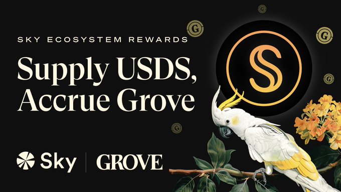 A promotional graphic with a black background features a white cockatoo perched on a leafy branch beside yellow flowers, with a large "S" logo (for Sky) and small "G" tokens floating around. Bold text reads "SKY ECOSYSTEM REWARDS" and "Supply USDS, Accrue Grove," with the Sky and Grove branding displayed at the bottom, advertising the new GROVE distribution rewards program on Sky.money.