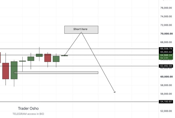 The image is a BTC/USD candlestick chart by Trader Osho, showing a trade setup labeled "Short here" with a downward projection arrow targeting lower levels around $56,000. The annotation aligns with the post's expectation of a bearish move, with key visible price levels at 66,608.79 (resistance), 62,492.58 (support), and 54,193.97 (downside target).