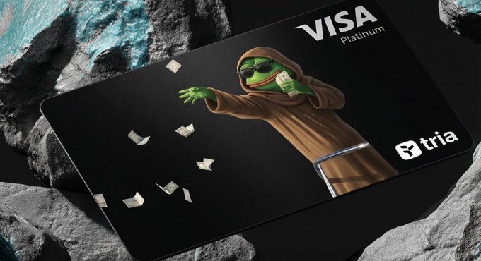 The image features a black Visa card with a cartoon character holding a bunch of money, surrounded by rocks and stones. The text "Visa platinum" is written above the card, indicating that this is a platinum-level Visa card. The card has been rendered in a cartoon style to make it more visually appealing for users.
