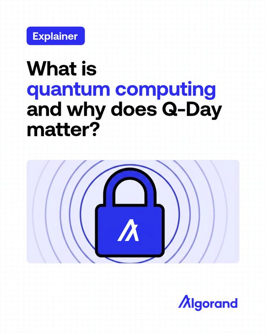 A promotional graphic from Algorand titled "What is quantum computing and why does Q-Day matter?" features a blue padlock with the Algorand "A" logo on it, set against concentric circular waves, symbolizing the cryptographic locks that quantum computers may eventually break.