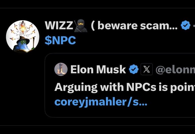 A screenshot shows a post by "WIZZ" labeled $NPC quoting a tweet from Elon Musk's verified account (@elonmusk) reading "Arguing with NPCs is poin..." with a link to coreyjmahler. The image appears to reference Elon Musk's tweet about "NPCs," visually supporting the caption's mocking tone toward Musk by illustrating his own quote about arguing with NPCs.