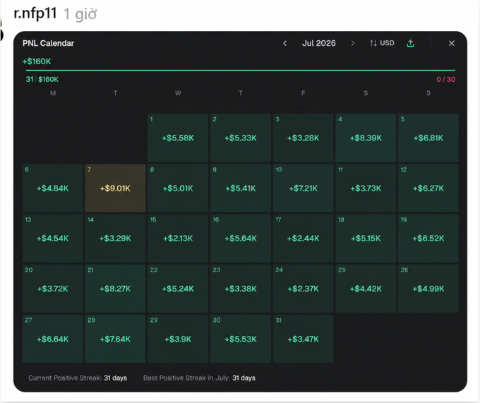 A trading PNL Calendar dashboard for July 2026 showing consistent positive daily profits with a '+' before each value, including a highlighted day with '+$9.01K' and a total of '+$160K'.