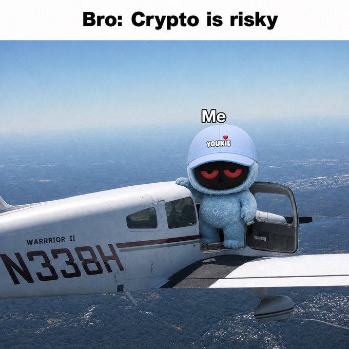 A meme showing a blue fuzzy character labeled 'Me' wearing a 'YOUKIE' cap standing on a small plane (N338H Warrior II), with the caption 'Bro: Crypto is risky'.