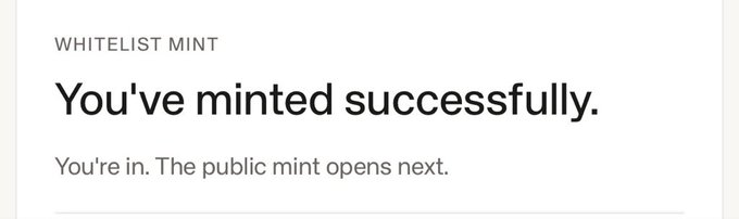 A confirmation screen displays "WHITELIST MINT" with the message "You've minted successfully. You're in. The public mint opens next," indicating the user has successfully completed a whitelist mint for their Standard RSV Experiment NFT.